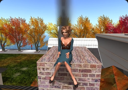 Sitting on chimney